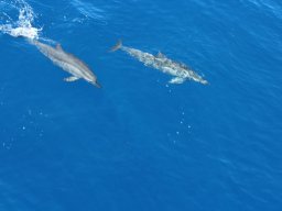 Tour de l'île en avion